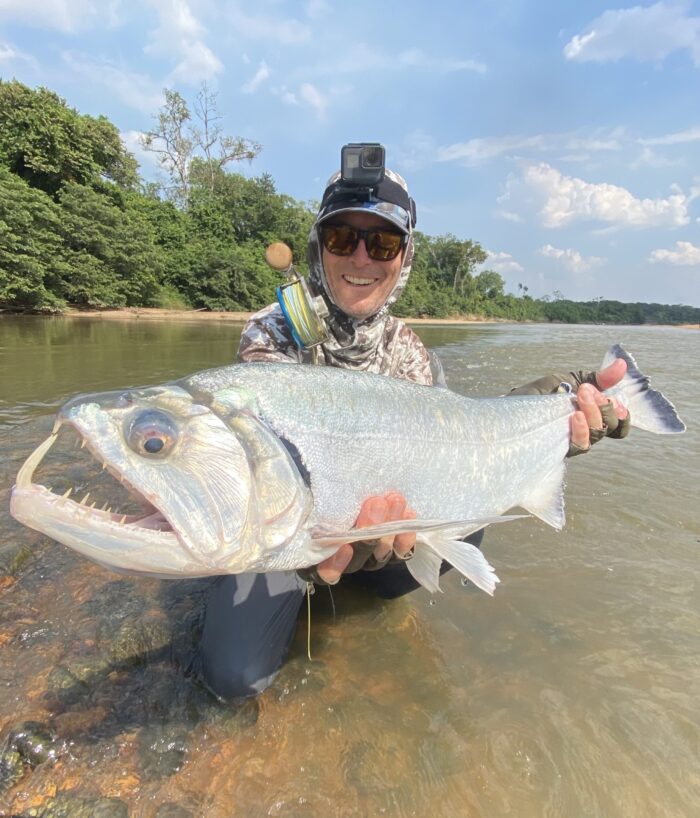 Payara