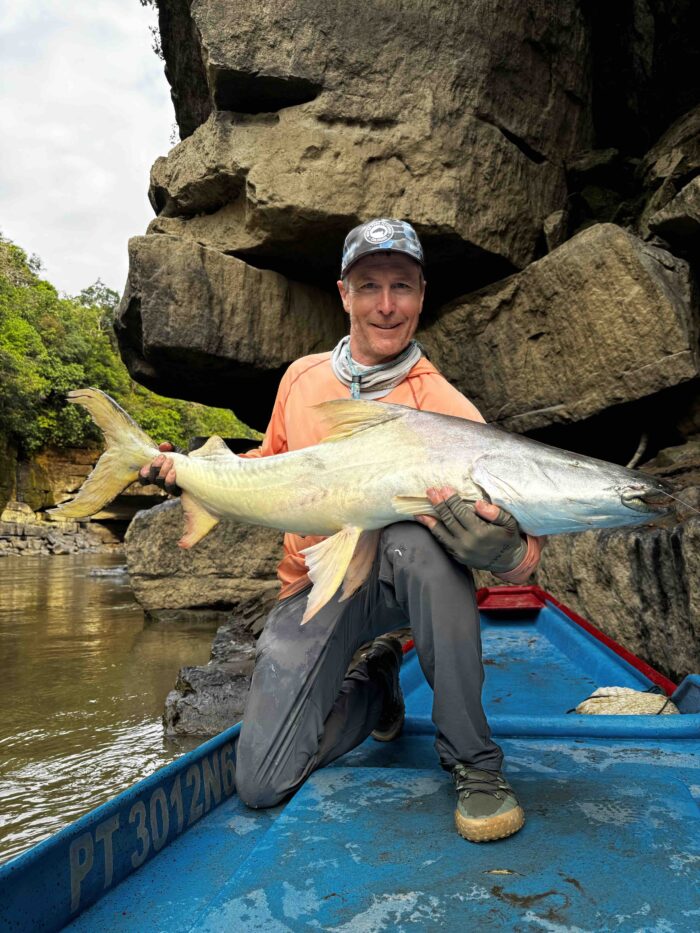 Golden Dorado