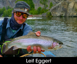 Leif Eggert