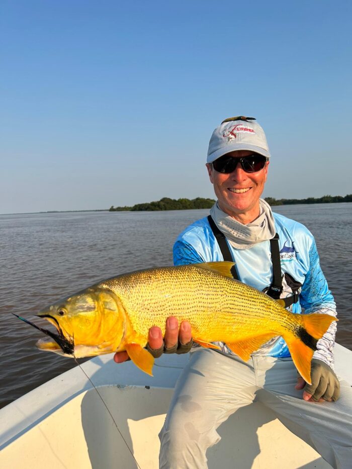 Golden Dorado in Argentina