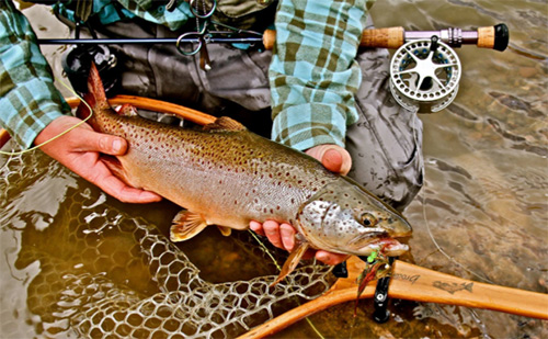 Streamer Fly Fishing Gear You Need for Success